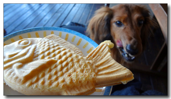 20130323002925.JPG