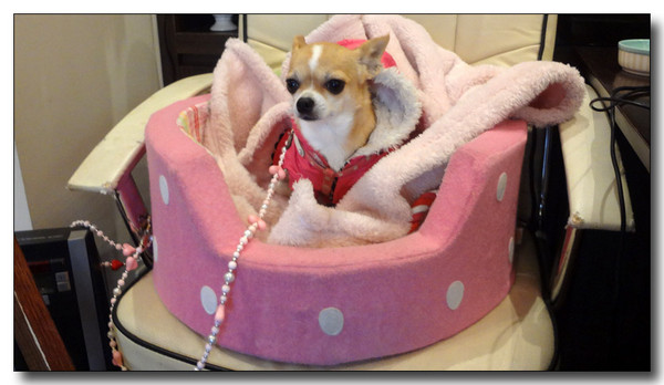 20130323204424.JPG