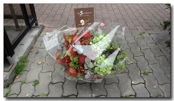 20130323204427.JPG