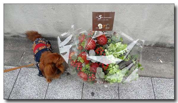 20130323204428.JPG
