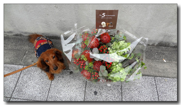 20130323204429.JPG