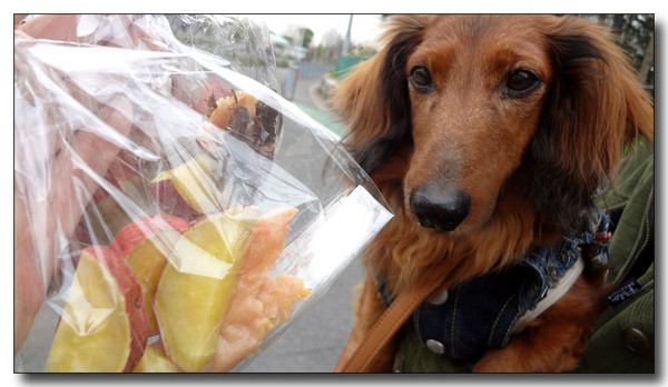 20130323204433.JPG