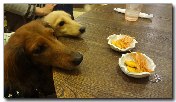 20130324084314.JPG