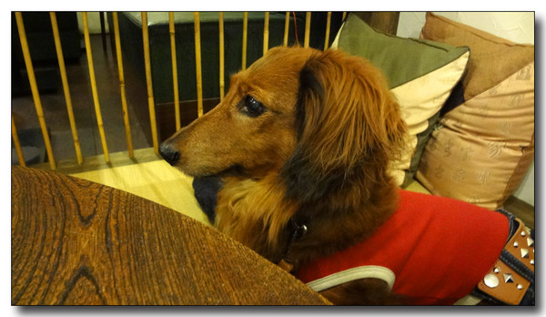 20130324084345.JPG