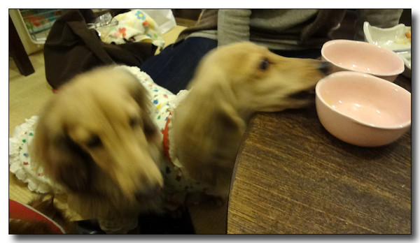 20130324084440.JPG