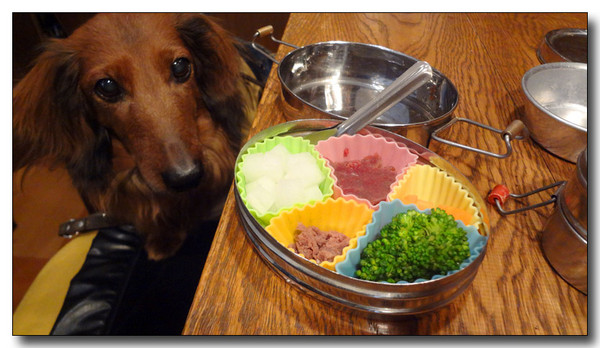 20130324094015.JPG