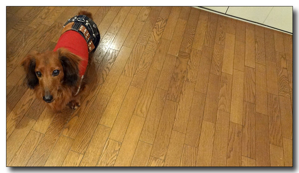20130325210817.JPG