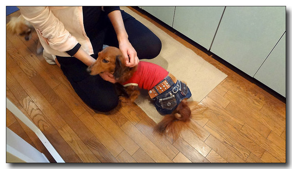 20130325210907.JPG