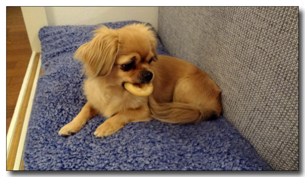20130325213410.JPG