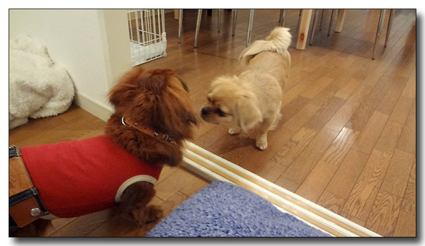 20130325213413.JPG