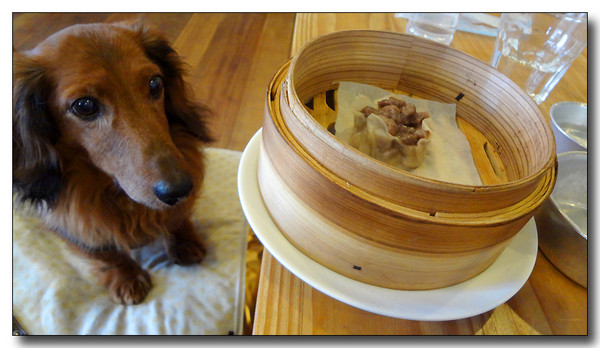 20130326201953.JPG