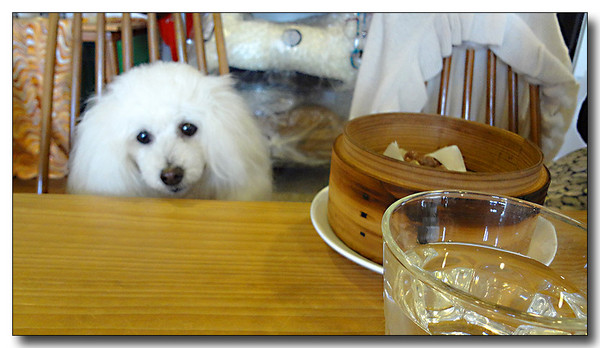 20130326201954.JPG