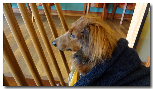 20130326202038.JPG