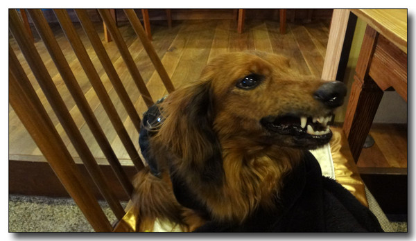 20130326202112.JPG