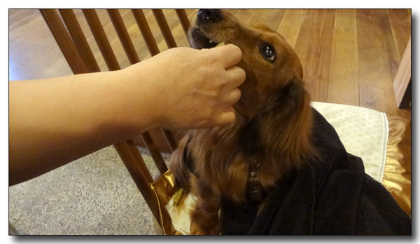 20130326202142.JPG