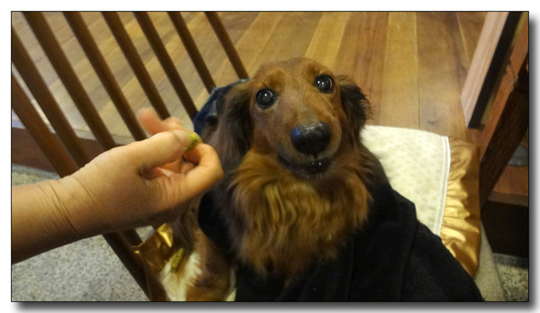 20130326202143.JPG