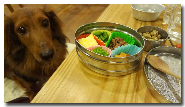 20130326202214.JPG