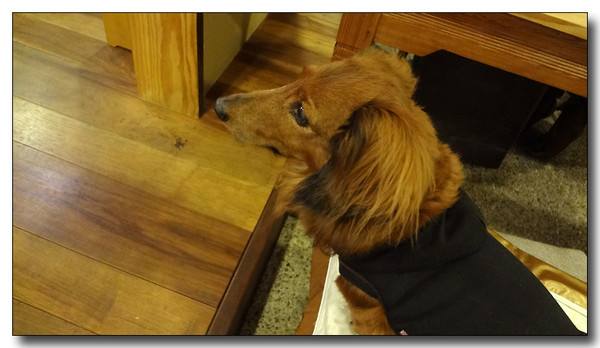 20130326202216.JPG