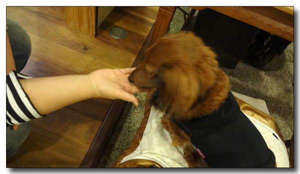 20130326202217.JPG