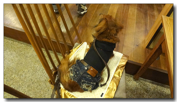 20130326202218.JPG