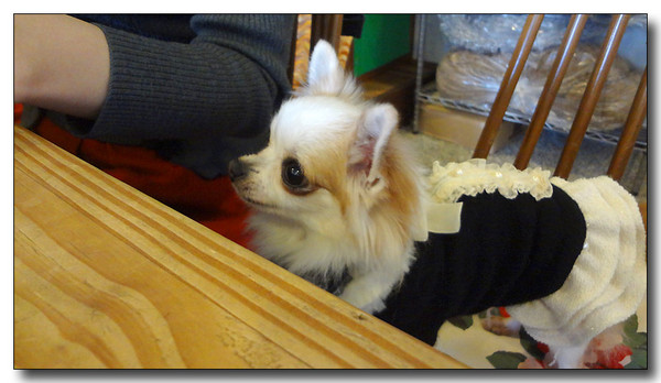20130327204405.JPG