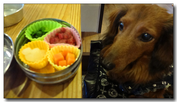 20130327204438.JPG