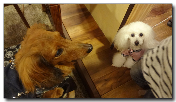 20130327204501.JPG