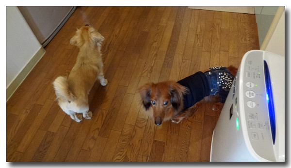 20130330092301.JPG