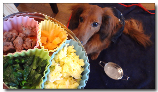 20130330092305.JPG