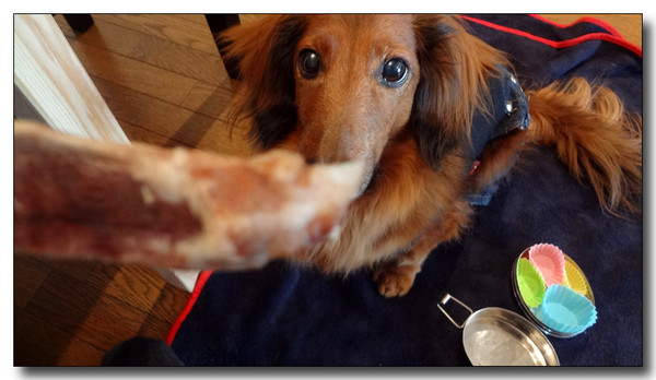 20130330092331.JPG