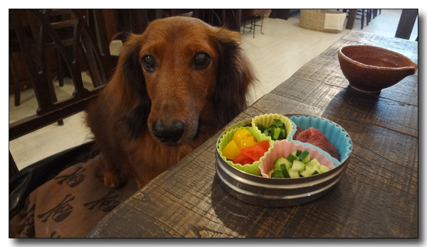 20130401035008.JPG