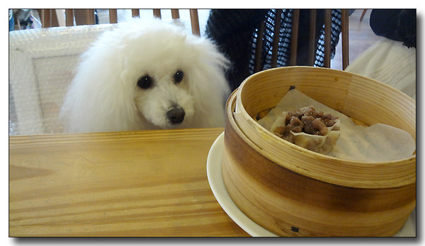20130401221511.JPG