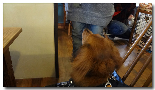 20130401221551.JPG