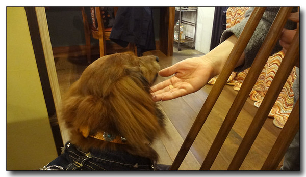 20130401221654.JPG