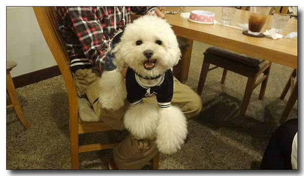 20130401221656.JPG