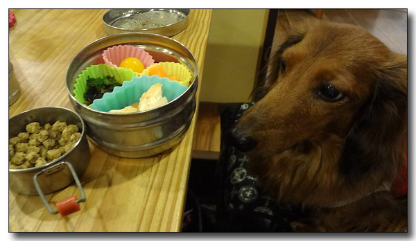20130401221658.JPG