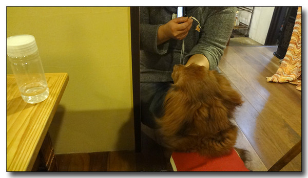 20130401221736.JPG