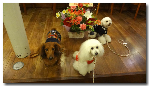 20130401221737.JPG