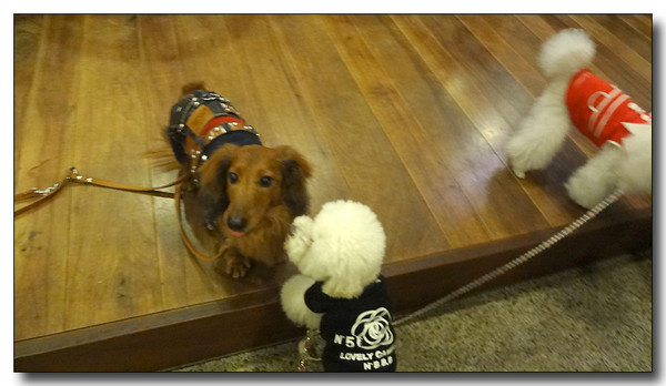 20130401221739.JPG