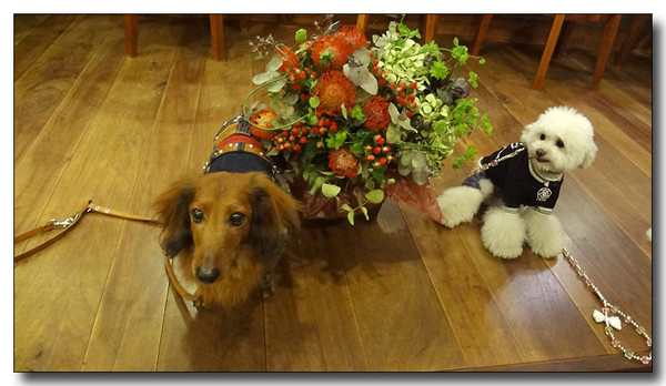 20130401221740.JPG