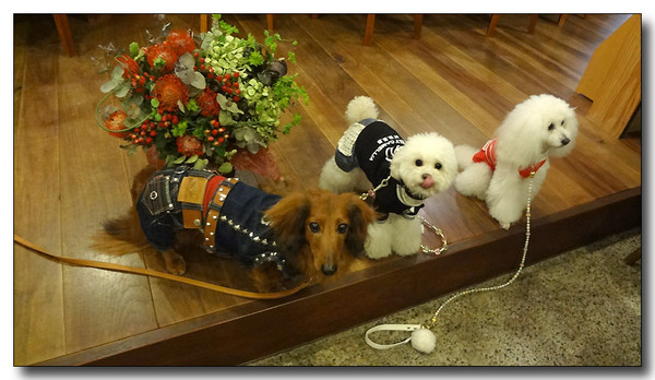 20130401221741.JPG