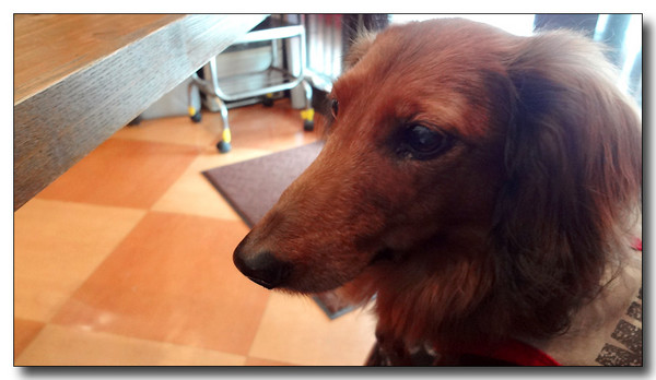 20130402120033.JPG