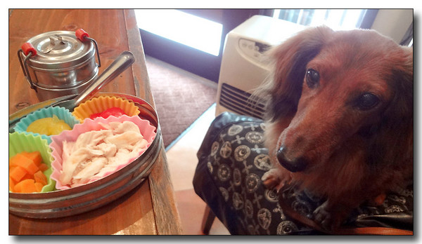 20130402120034.JPG