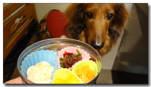 20130404130631.JPG