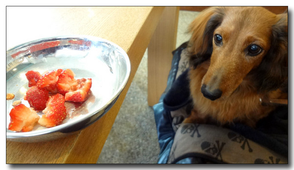 20130427042726.JPG