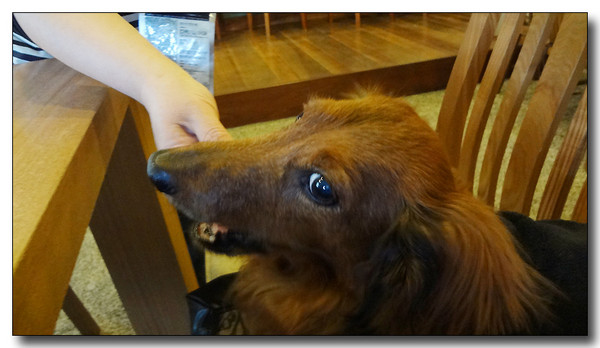 20130427042801.JPG