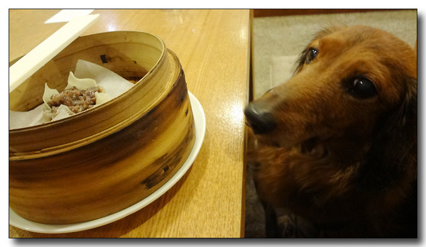 20130427042823.JPG