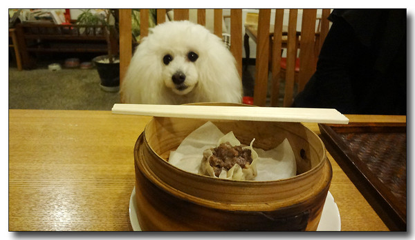 20130427042824.JPG