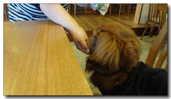 20130427042825.JPG