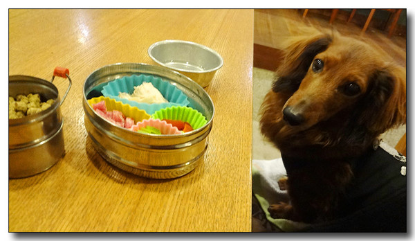 20130427042845.JPG